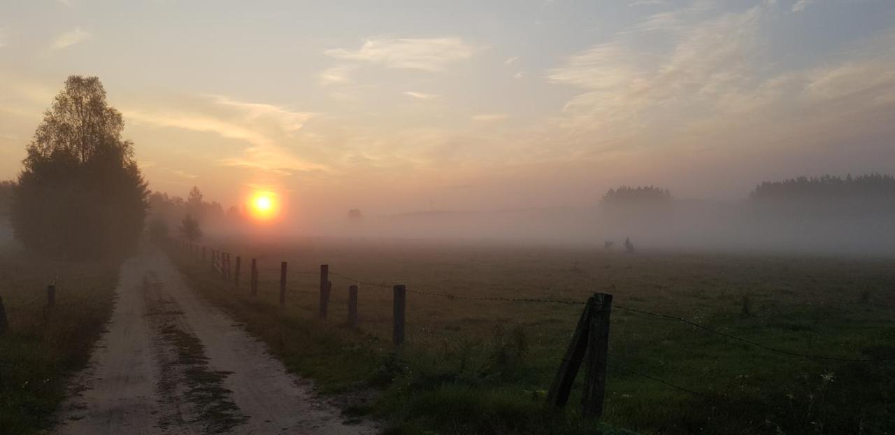 Zdalnie Z Lasu - Siedlisko W Puszczy Bialowieskiej Narewka Exteriér fotografie