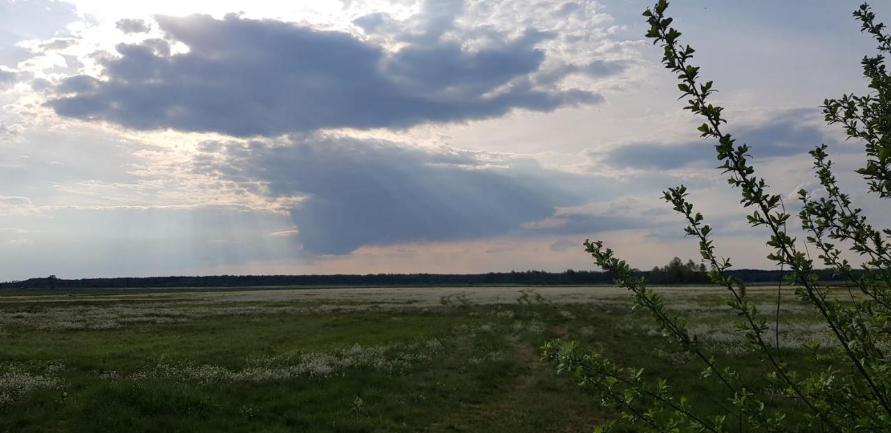 Zdalnie Z Lasu - Siedlisko W Puszczy Bialowieskiej Narewka Exteriér fotografie