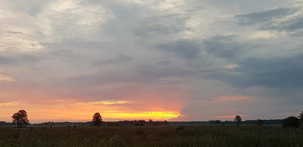 Zdalnie Z Lasu - Siedlisko W Puszczy Bialowieskiej Narewka Exteriér fotografie
