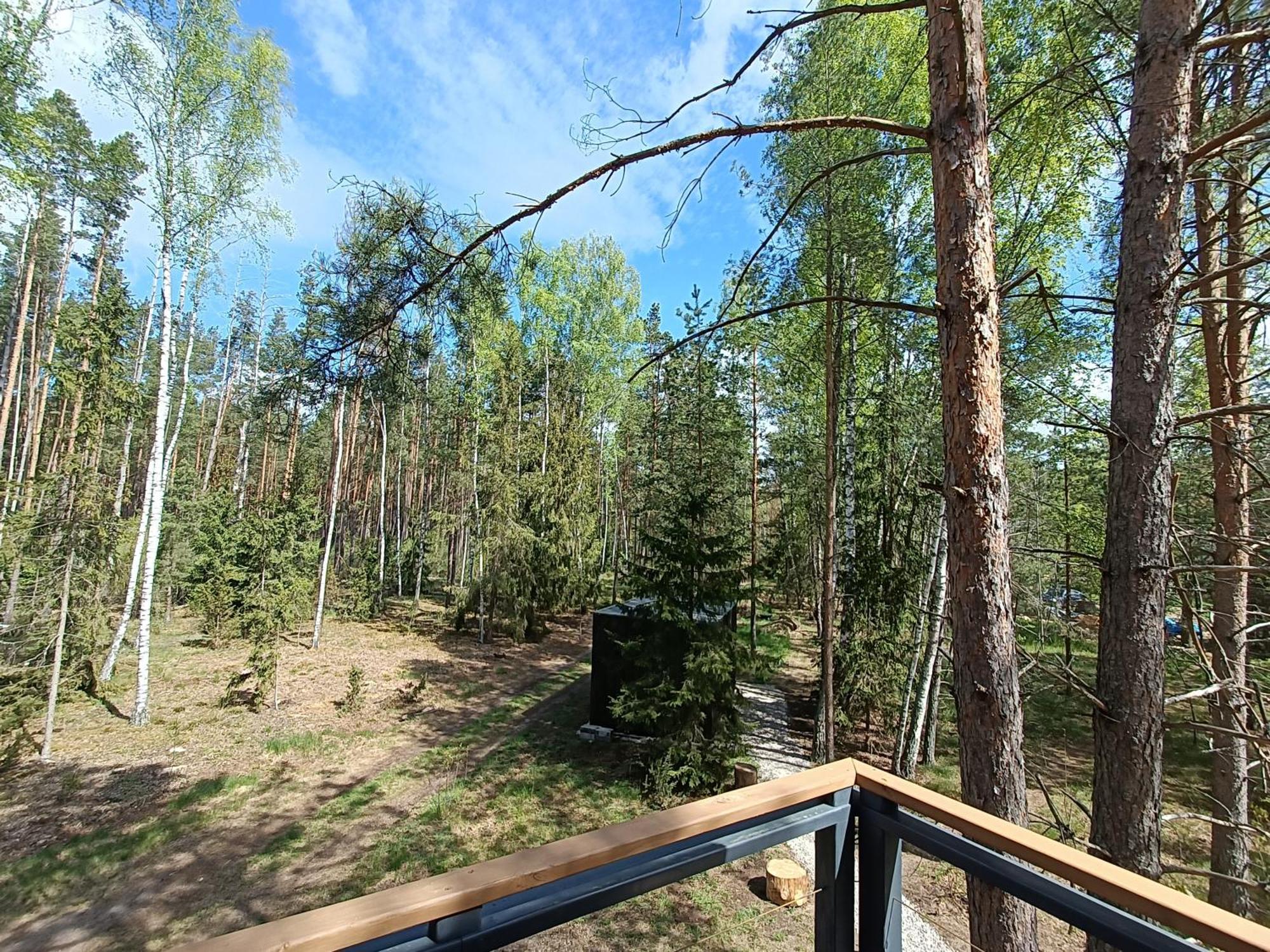 Zdalnie Z Lasu - Siedlisko W Puszczy Bialowieskiej Narewka Exteriér fotografie